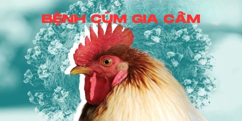 Cúm Gia Cầm