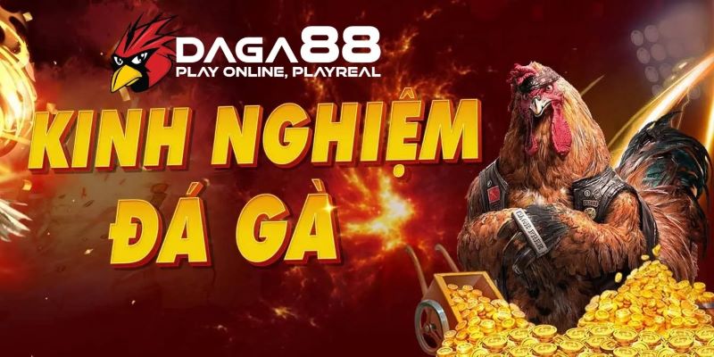 Giới thiệu Daga88 - hoàn toàn hợp pháp tại Việt Nam