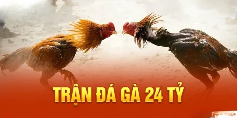 Trận Gà 24 Tỷ