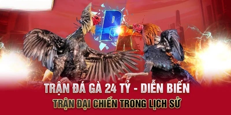 Thời gian và địa điểm tổ chức trận gà 24 tỷ cực hấp dẫn